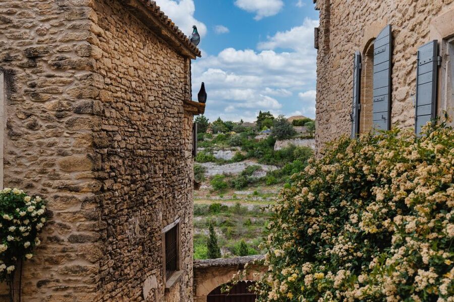 From Aix-en-Provence: Luberon Market & Villages Day Tour - What the $182 price really covers
