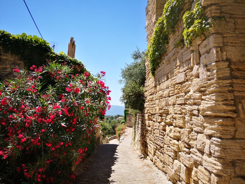 From Aix en Provence: Luberon Villages Full-Day Guided Tour - Lourmarin, architecture, and a slower final village