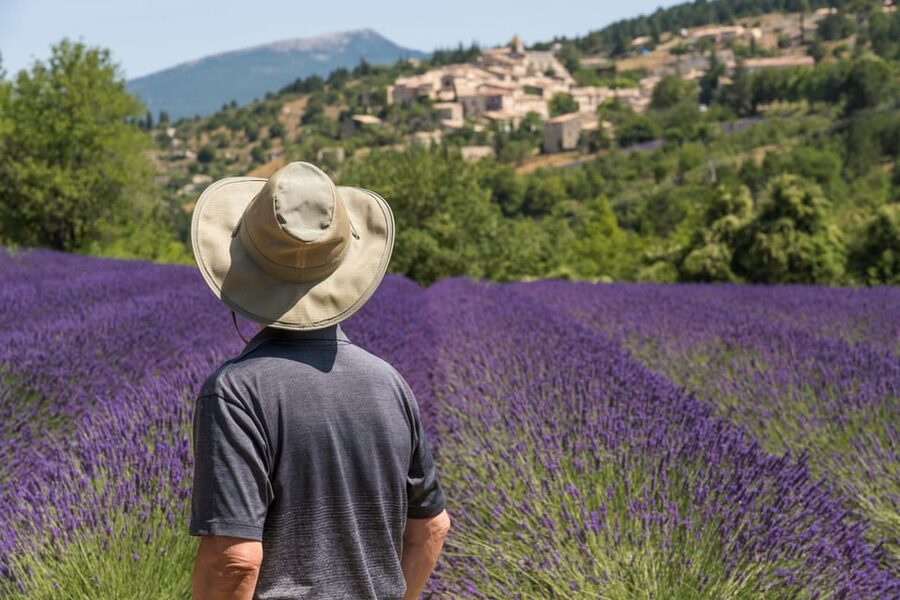 From Aix-en-Provence: Sault Lavender & Gordes Full-Day Tour - Key points at a glance