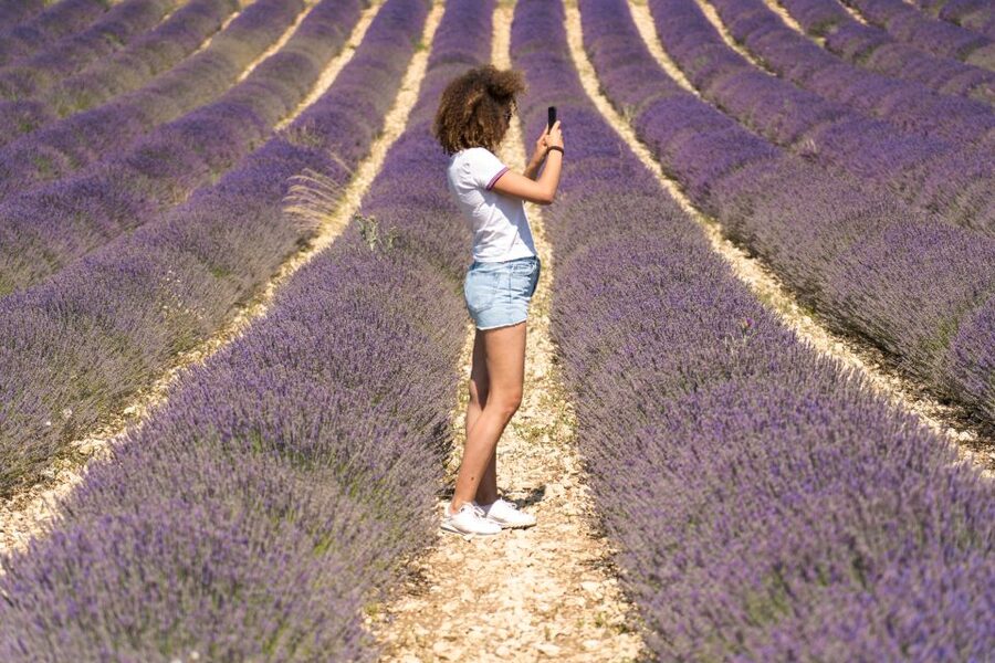 From Aix-en-Provence: Sault Lavender & Gordes Full-Day Tour - Why this Provence day trip works