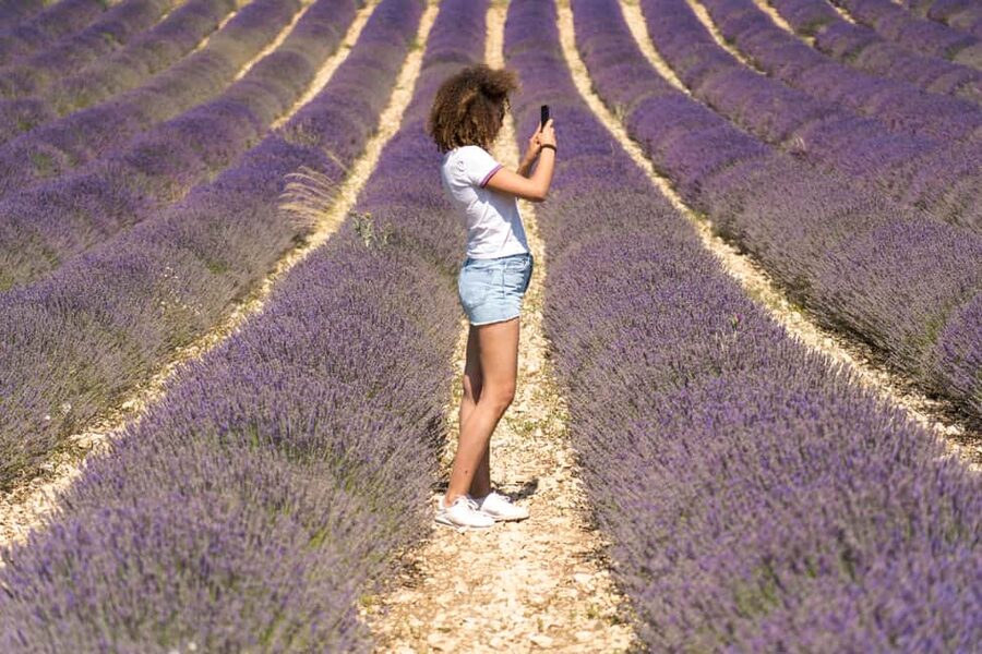 From Aix-en-Provence: Valensole Lavender Full-Day Tour - The Verdon Gorge From Pont de Galetas