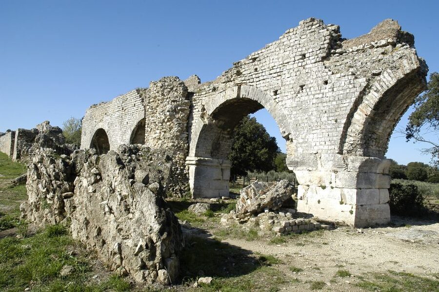 From Arles: Alpilles Regional Park Provence 4x4 Safari - Olive groves, vineyards, and Roman remains