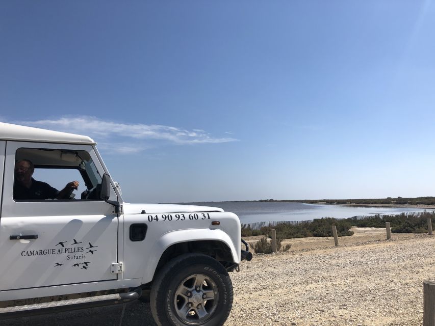 From Arles: Half-Day 4x4 Camargue Safari - What the guides add to the experience