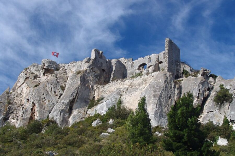 From Avignon: Full-Day Best of Provence Tour - The van, guides, and day-to-day comfort