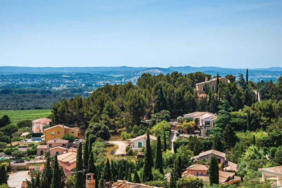 From Avignon: Half-Day Great Vineyards Tour - Two tastings, with room for a third