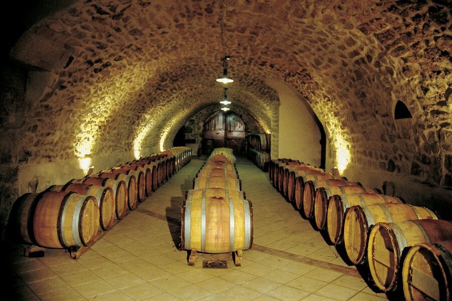 From Avignon: Half-Day Great Vineyards Tour - How the guides shape the day