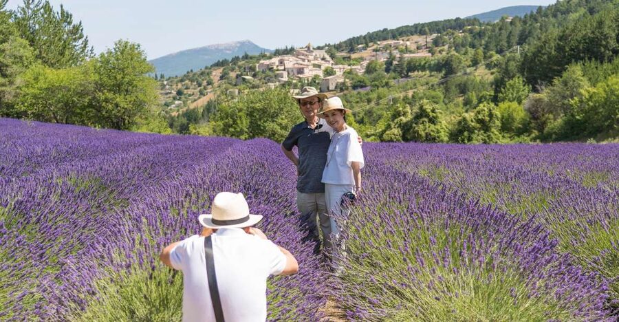 From Avignon: Half-Day Lavender Tour of Luberon - Starting at Avignon’s Cours Jean Jaurès