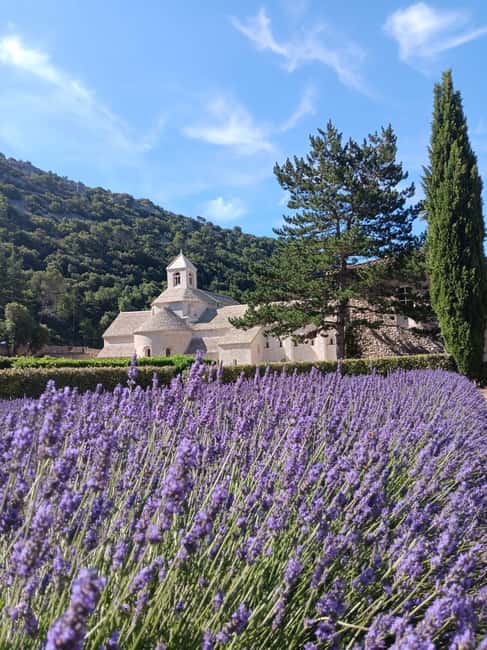 From Avignon: Half-Day Lavender Tour of Luberon - Who will enjoy this Provence outing?