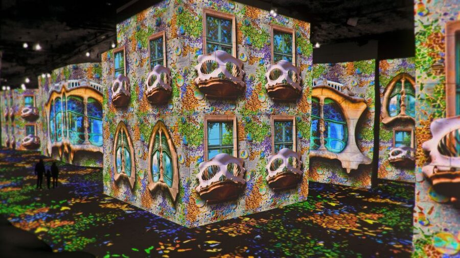 From Avignon: Half-Day Van Gogh & Carrières de Lumières Tour - Transport, meeting point, and timing