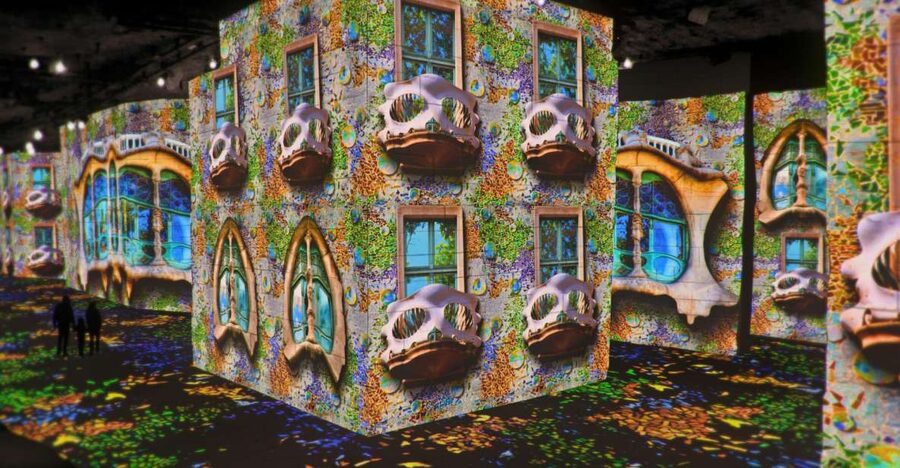 From Avignon: Half-Day Van Gogh & Carrières de Lumières Tour - Who will enjoy this Van Gogh tour most