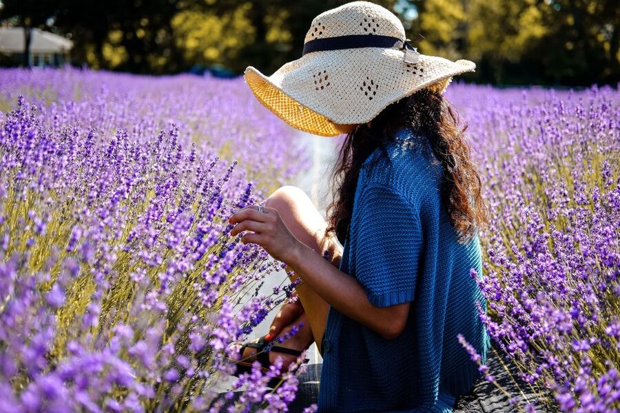 From Avignon: Lavender Fields & Luberon Village Guided Tour - Roussillon and its red-gold Ochre Trail