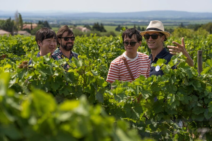 From Avignon: Luberon and Chateauneuf-du-Pape Full-Day Tour - Key points at a glance
