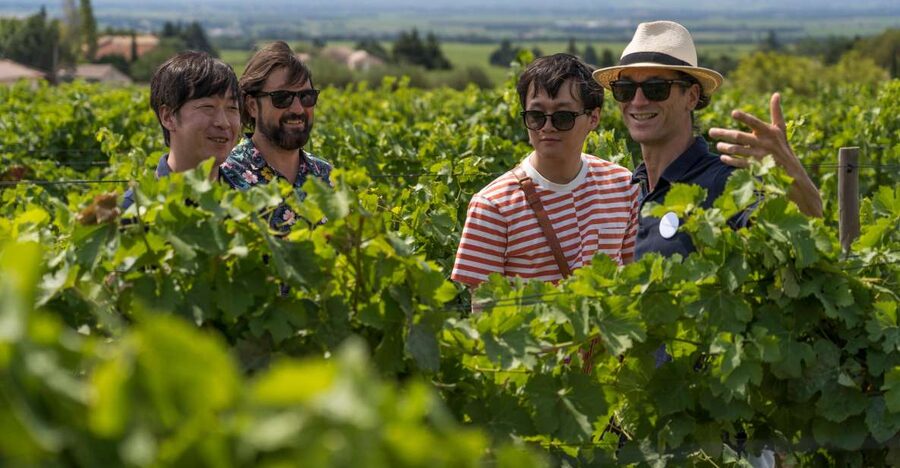 From Avignon: Luberon and Chateauneuf-du-Pape Full-Day Tour - Gordes from the panoramic viewpoint