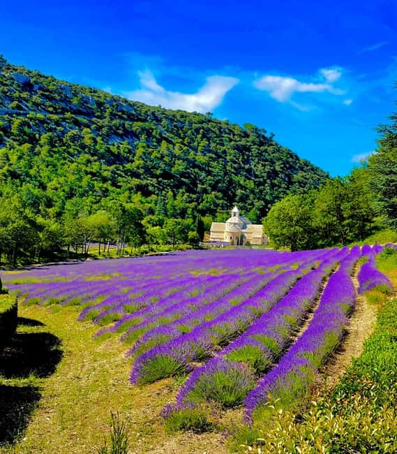 From Avignon: Provence Highlights Full-Day Tour - Why this Provence tour works for a short stay