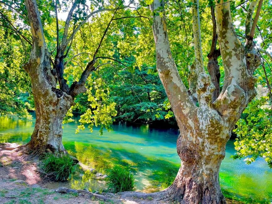 From Avignon: Provence Highlights Full-Day Tour - Gordes and the Luberon’s hilltop villages
