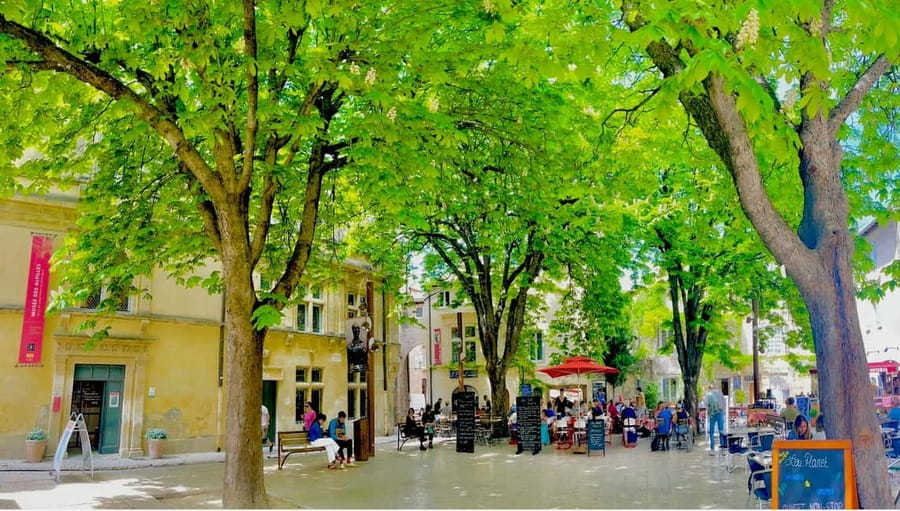From Avignon: Provence Highlights Full-Day Tour - Les Baux-de-Provence, stone and medieval drama