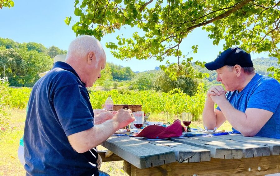 From Avignon: Roman Tour to Pont du Gard, Nîmes & Orange - The Pont du Gard combines engineering and a farm picnic