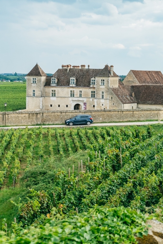 From Beaune: Burgundy Day Trip with 14 Wine Tastings - Why this Burgundy day trip works well