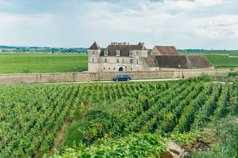 From Beaune: Burgundy Day Trip with 14 Wine Tastings - The first winery near Beaune