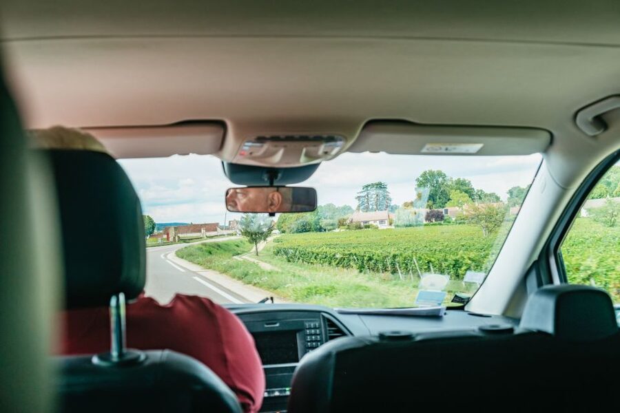 From Beaune: Burgundy Day Trip with 14 Wine Tastings - Lunch with Burgundy on your plate