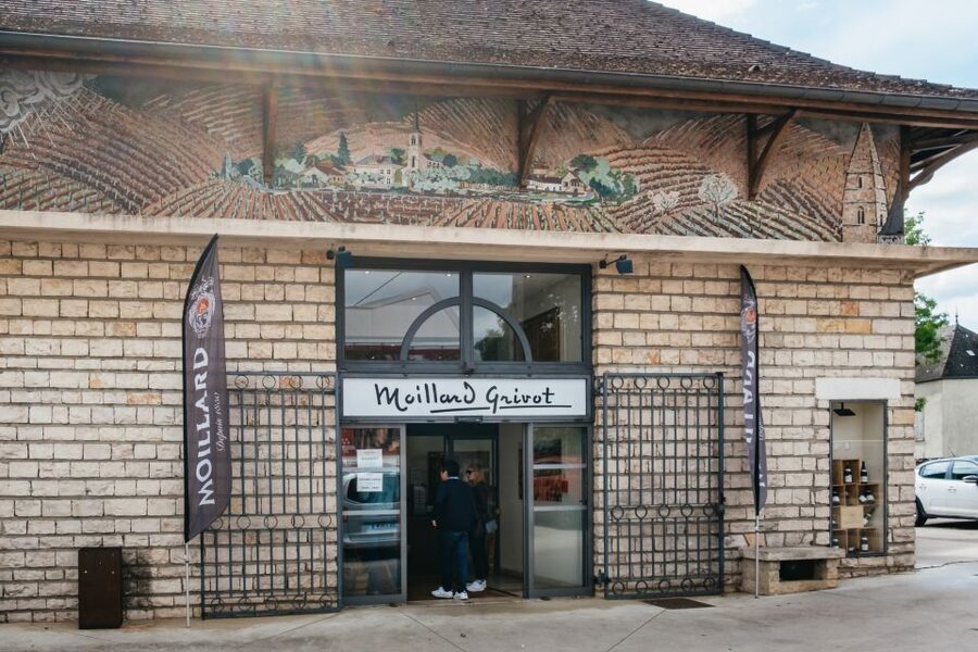 From Beaune: Burgundy Day Trip with 14 Wine Tastings - Nuits-Saint-Georges and a winemaker’s cellar