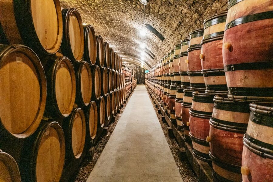 From Beaune: Burgundy Day Trip with 14 Wine Tastings - Chambolle-Musigny to finish the tasting