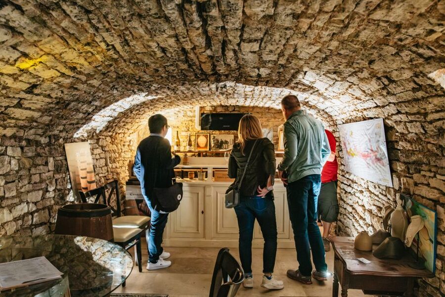 From Beaune: Burgundy Day Trip with 14 Wine Tastings - What $294 buys you