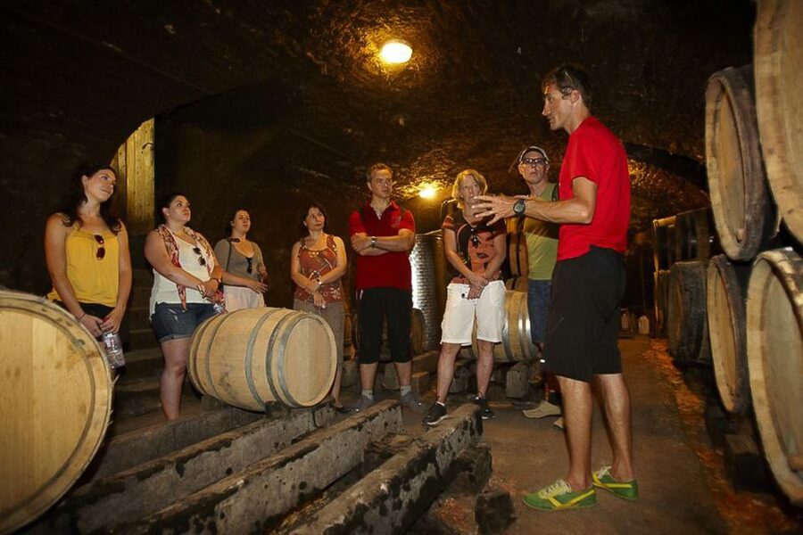 From Beaune: Full-Day Bicycle and Wine Tour in Burgundy - La Rochepot and a medieval pause