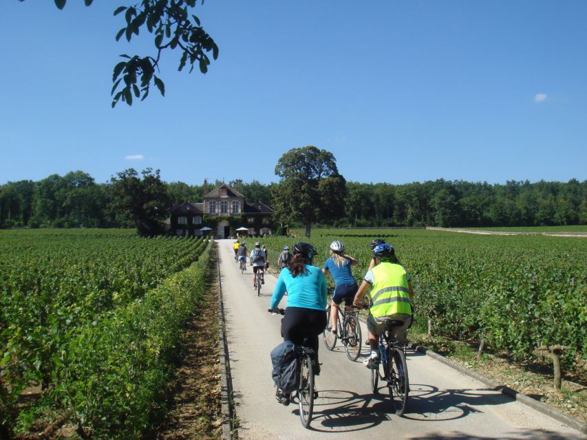 From Beaune: Full-Day Bicycle and Wine Tour in Burgundy - The morning transfer and first vineyard roads