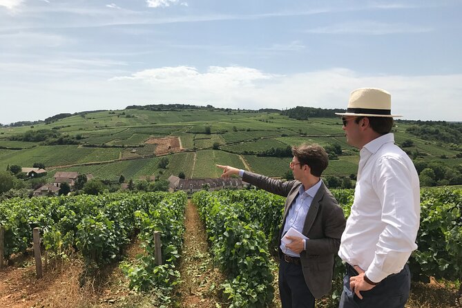From Beaune: Full day the most of Burgundy, with lunch - Four things to know before booking
