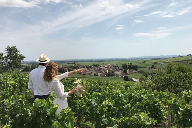 From Beaune: Full day the most of Burgundy, with lunch - Wine education without the heavy lecture