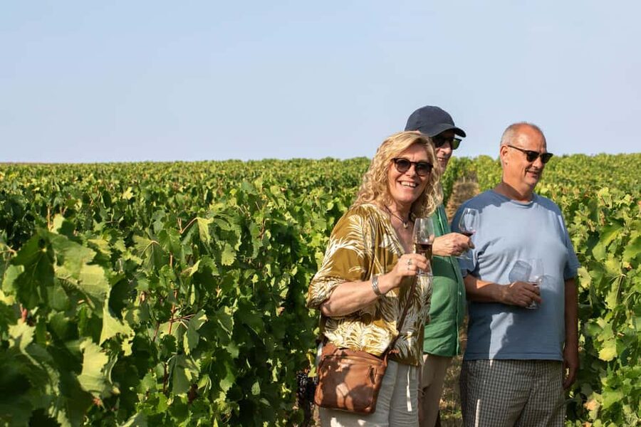 From Bordeaux: Afternoon Saint-Emilion Wine Tasting & snack - From Quinconces Square to the Saint-Émilion vineyards