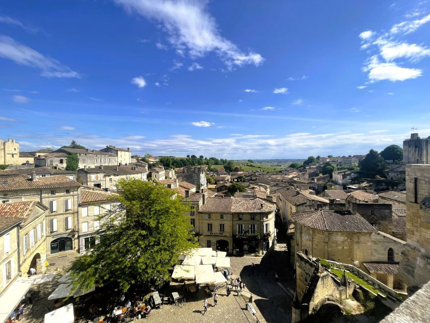 From Bordeaux: Afternoon Saint-Emilion Wine Tasting & snack - Inside the Grand Cru Classé château