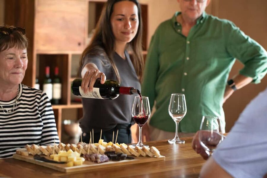From Bordeaux: Afternoon Saint-Emilion Wine Tasting & snack - Should you book the Saint-Émilion afternoon?