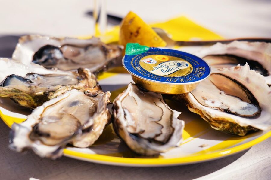 From Bordeaux: Arcachon Bay Full Day Tour and Oyster Lunch - How the small group changes the day