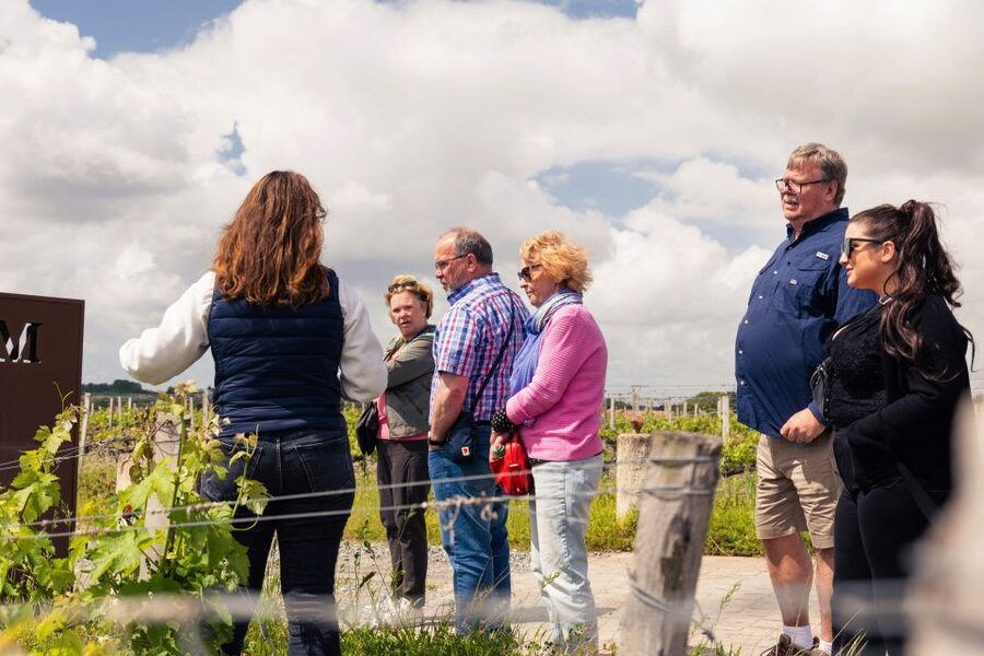From Bordeaux: Essential Morning Tour with Wine Tasting - Why this morning tour works well from Bordeaux