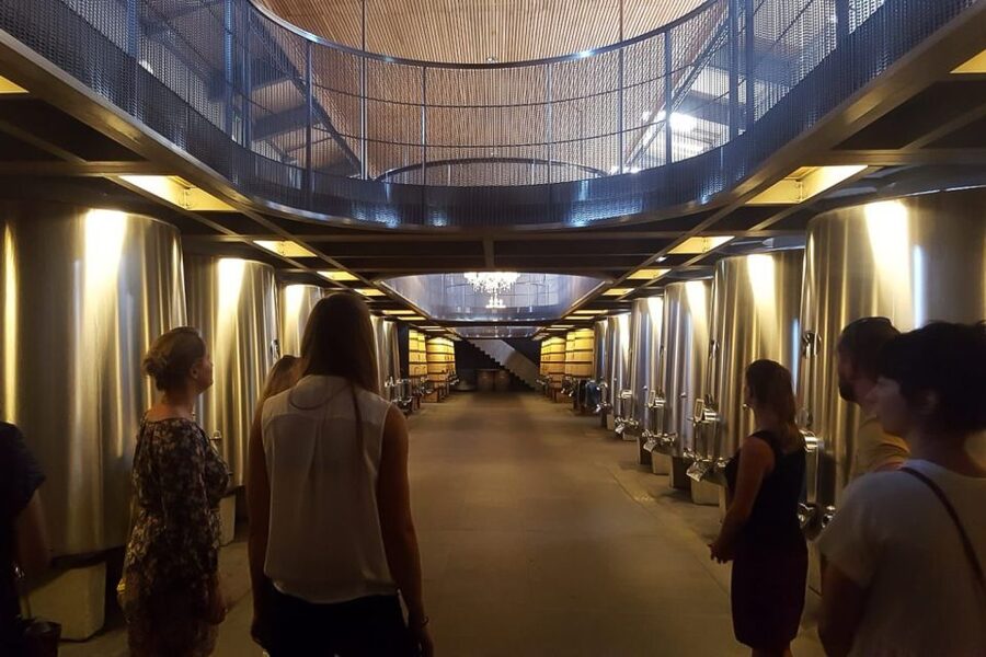 From Bordeaux: Full-Day Medoc Wine Tour - Afternoon visits bring more comparison