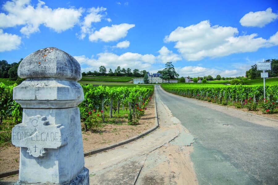From Bordeaux: Full-Day St Emilion Wine Tasting Tour - Key points at a glance