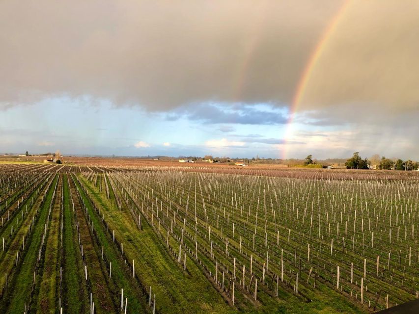 From Bordeaux: Half-Day Saint-Emilion Wine Tour - Key points at a glance