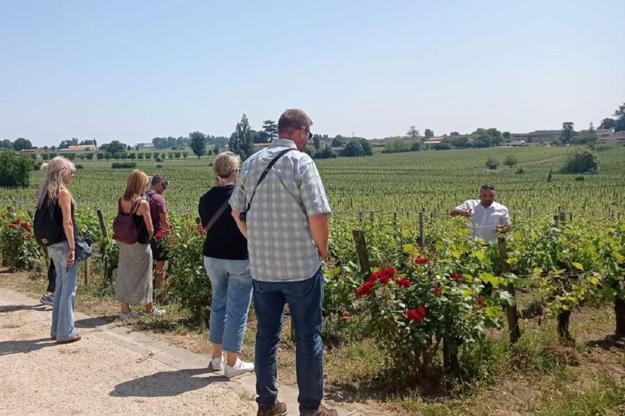 From Bordeaux: Saint-Emilion Guided Wine Tasting Tour - The family winery finishes with wine and food