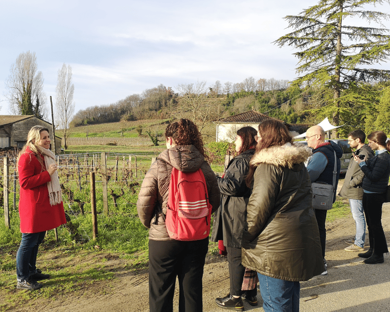From Bordeaux: Saint-Émilion Half-Day Tour with Wine Tasting - Key points to know before booking