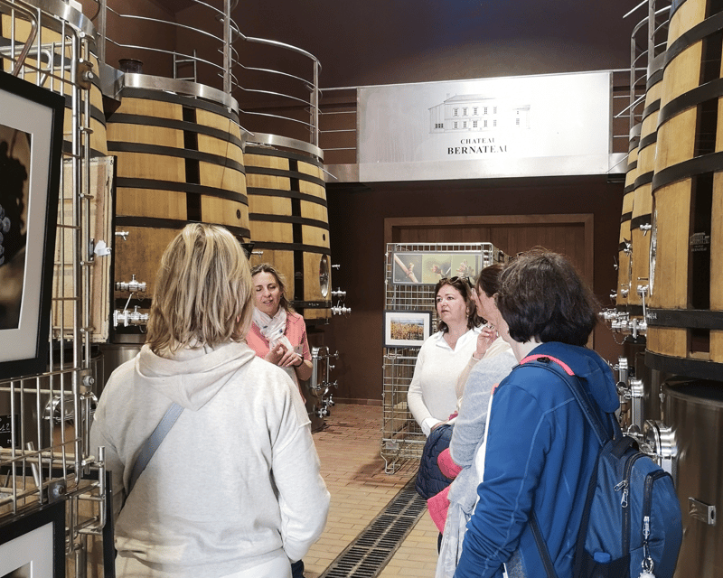 From Bordeaux: Saint-Émilion Half-Day Tour with Wine Tasting - Practical tips for a smoother visit