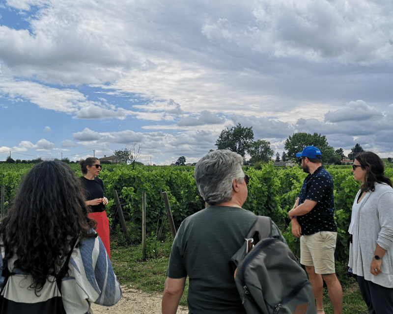 From Bordeaux: Saint-Émilion Half-Day Tour with Wine Tasting - Meeting a family winery near Saint-Émilion