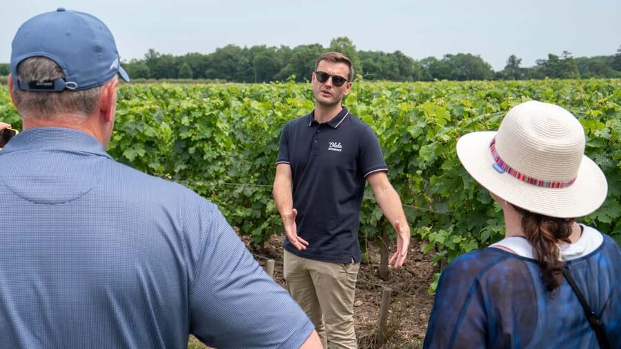 From Bordeaux: St-Emilion Day Tour with Tastings and Lunch - Who should book this day trip?