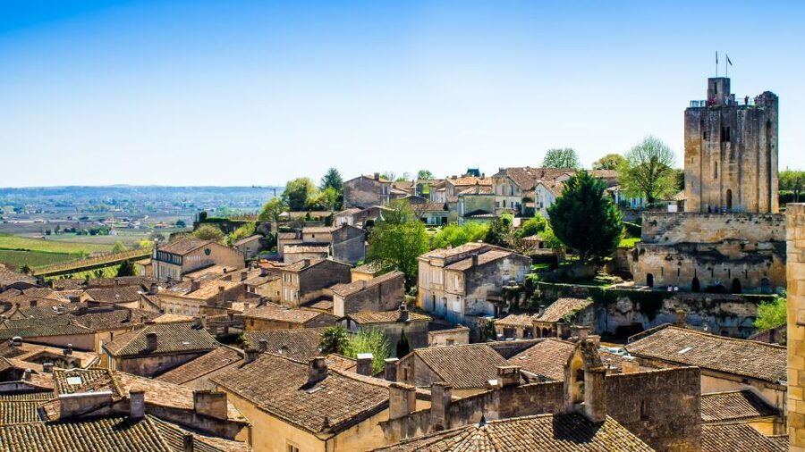 From Bordeaux: St. Emilion Village Half-Day Wine Tour - Who should book this half-day tour?