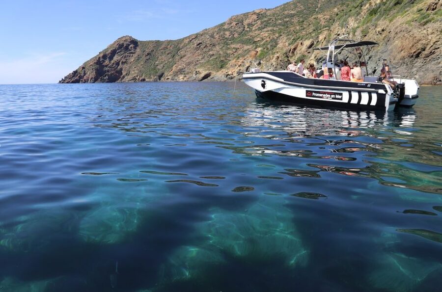 From Calvi: 2-Hour Sunset Cruise to Revellata Peninsula - Why This Sunset Cruise Works So Well in Calvi