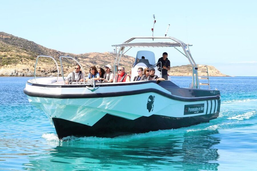 From Calvi: 2-Hour Sunset Cruise to Revellata Peninsula - Corsican Drinks as the Sun Goes Down