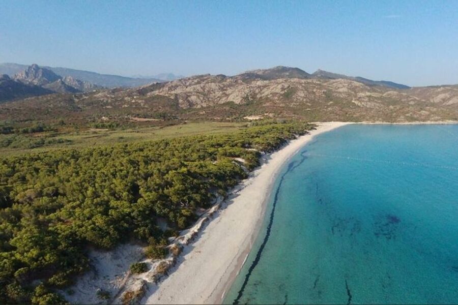 From Calvi: 4x4 Day Tour Mountain & Agriates' Saleccia Beach - Key points to know before booking