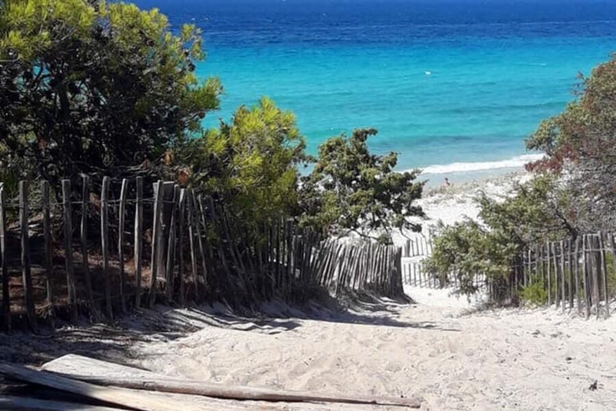 From Calvi: 4x4 Day Tour Mountain & Agriates' Saleccia Beach - Olive trees and the Reginu Valley slow the pace