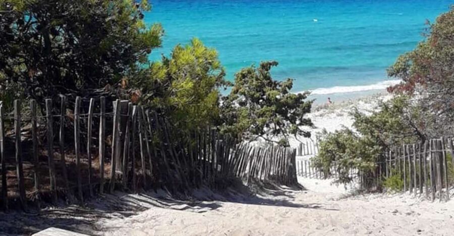 From Calvi: 4x4 Day Tour Mountain & Agriates' Saleccia Beach - Saleccia Beach is the proper payoff